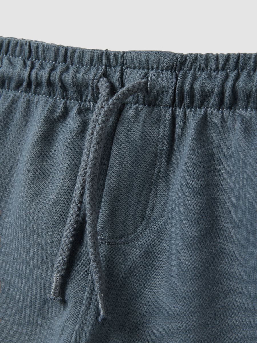 Blue pure cotton regular fit shorts for boys_2