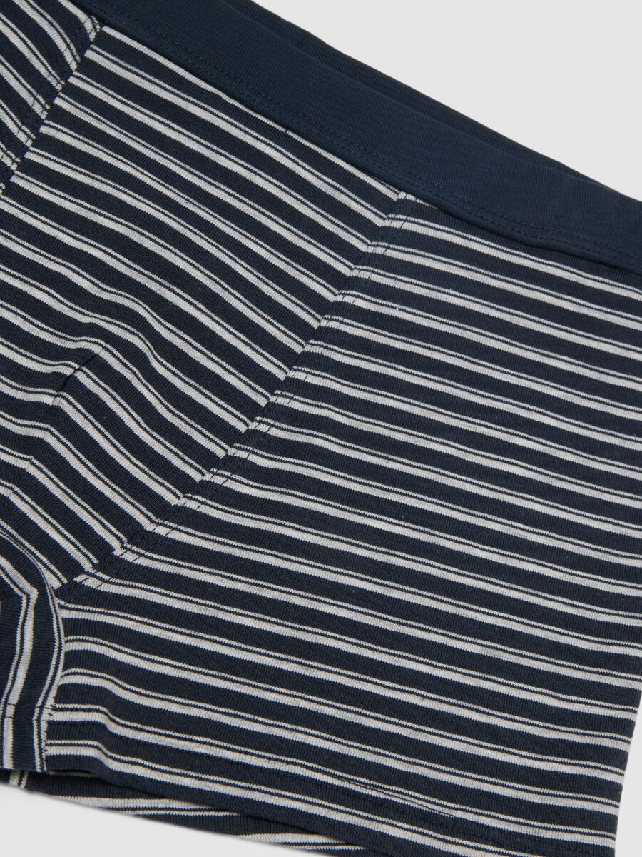 Regular fit multicoloured striped stretch cotton boys' boxers_3