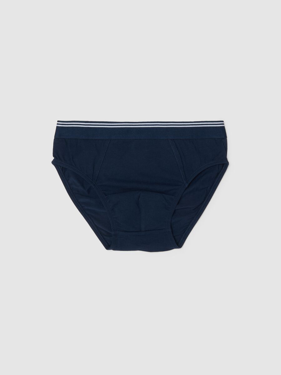 Boys' Regular Fit Stretch Cotton Blue Briefs_0