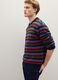 Multicolor Gestreifter Regular Fit Pullover_3