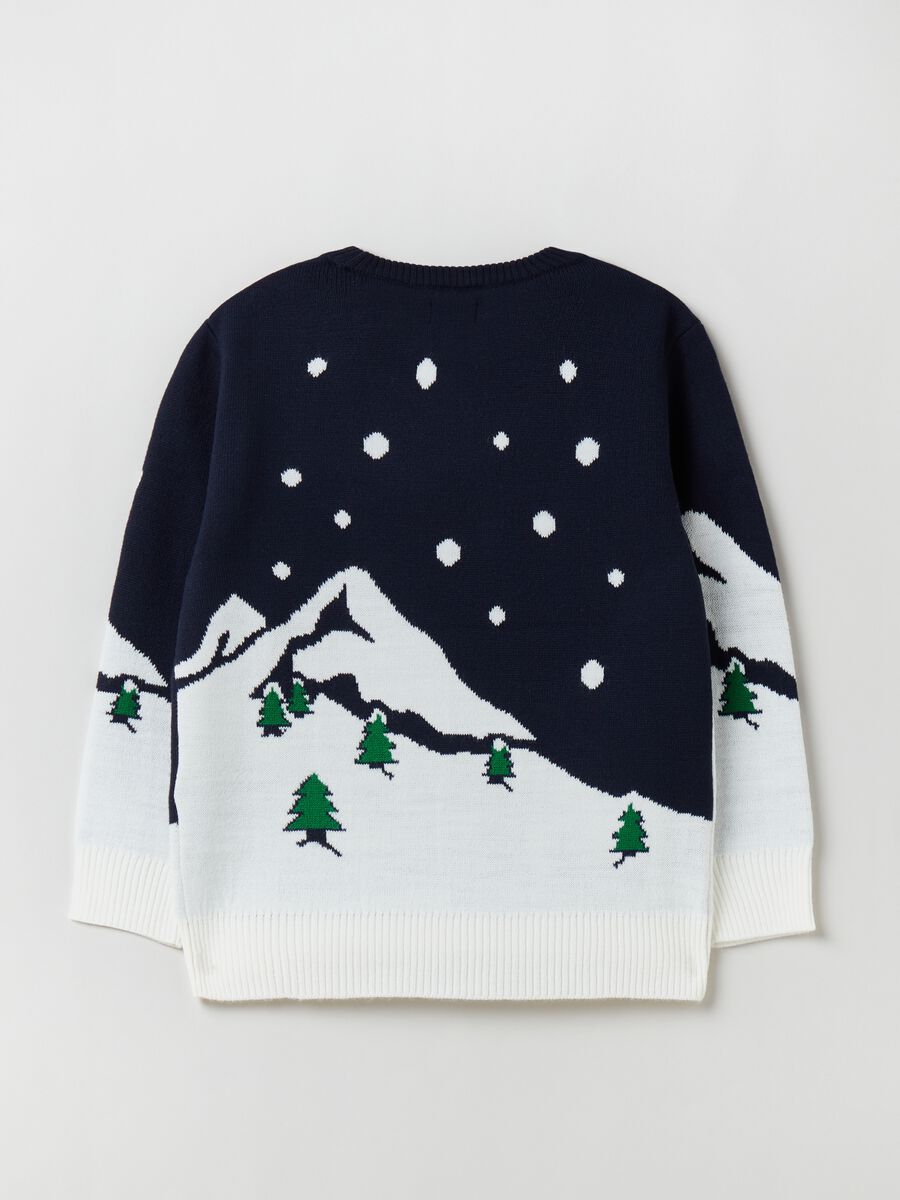 Christmas Jumper with jacquard design_1