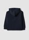 Blue 100% cotton hoodie with front print for boys_1