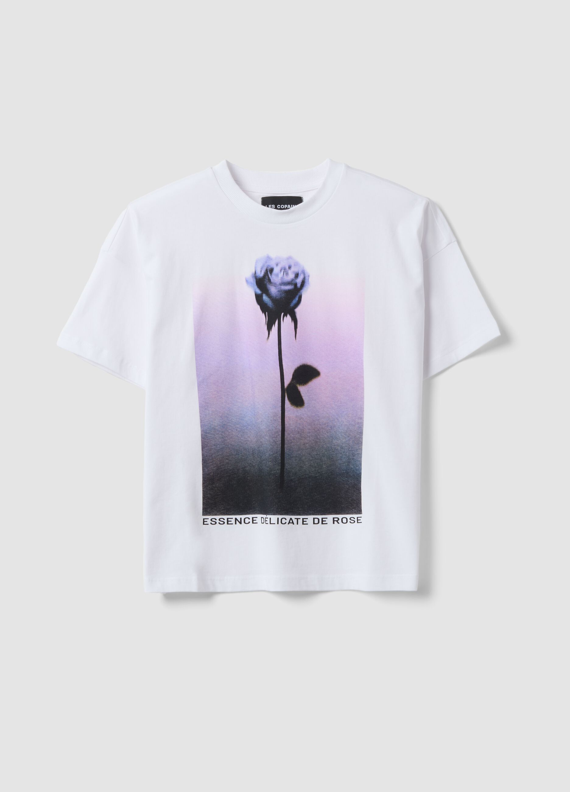 White pure cotton T-shirt with floral print, regular fit