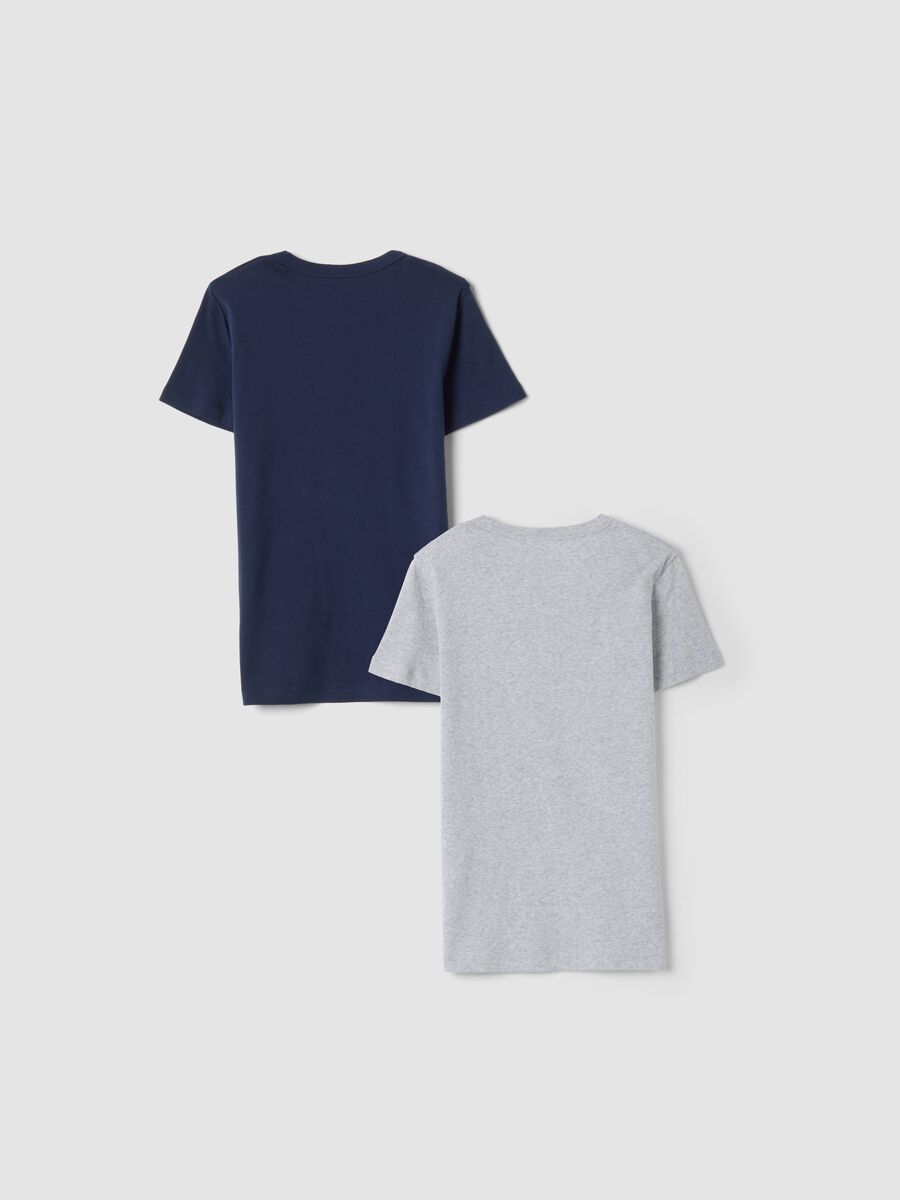 Bipack t-shirt blu e grigio in puro cotone organico girocollo_1