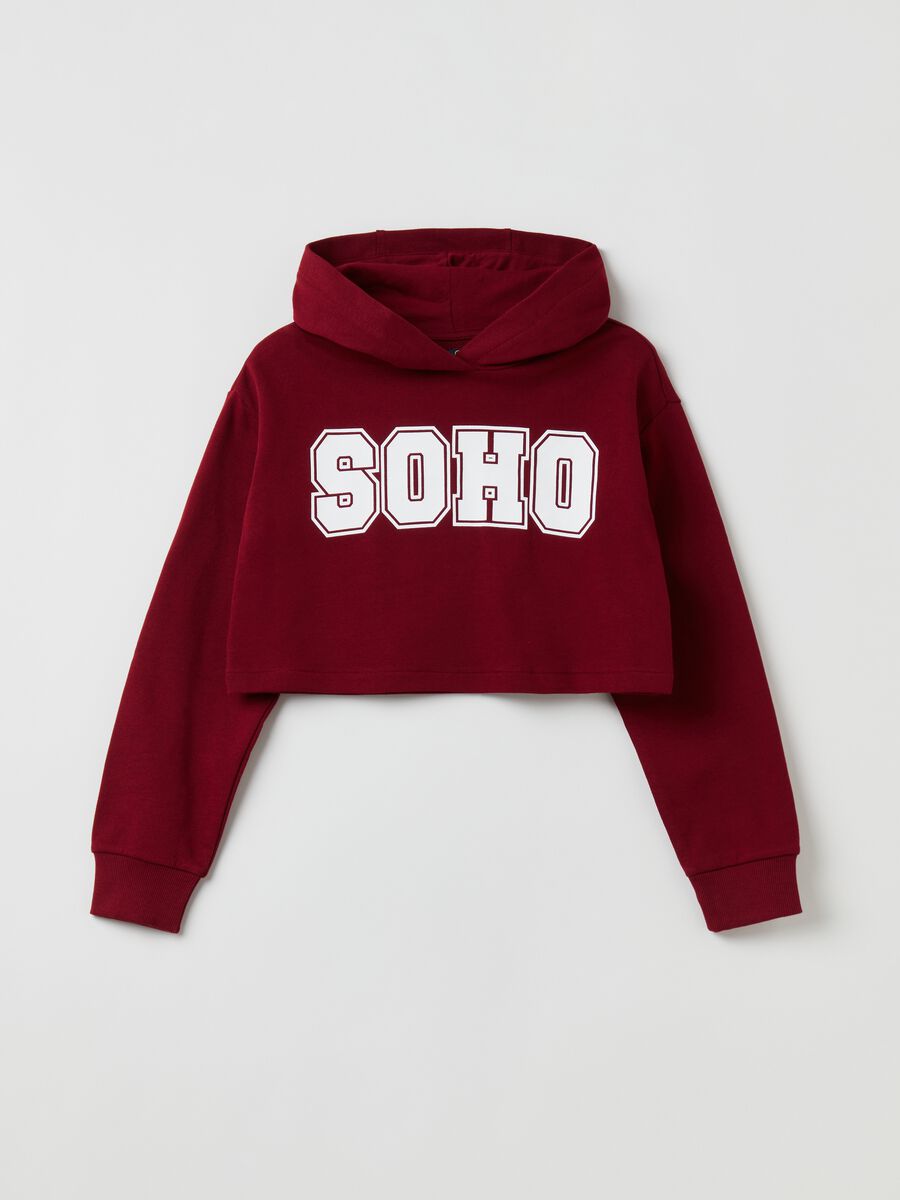 Cropped sweatshirt with hood and print_0