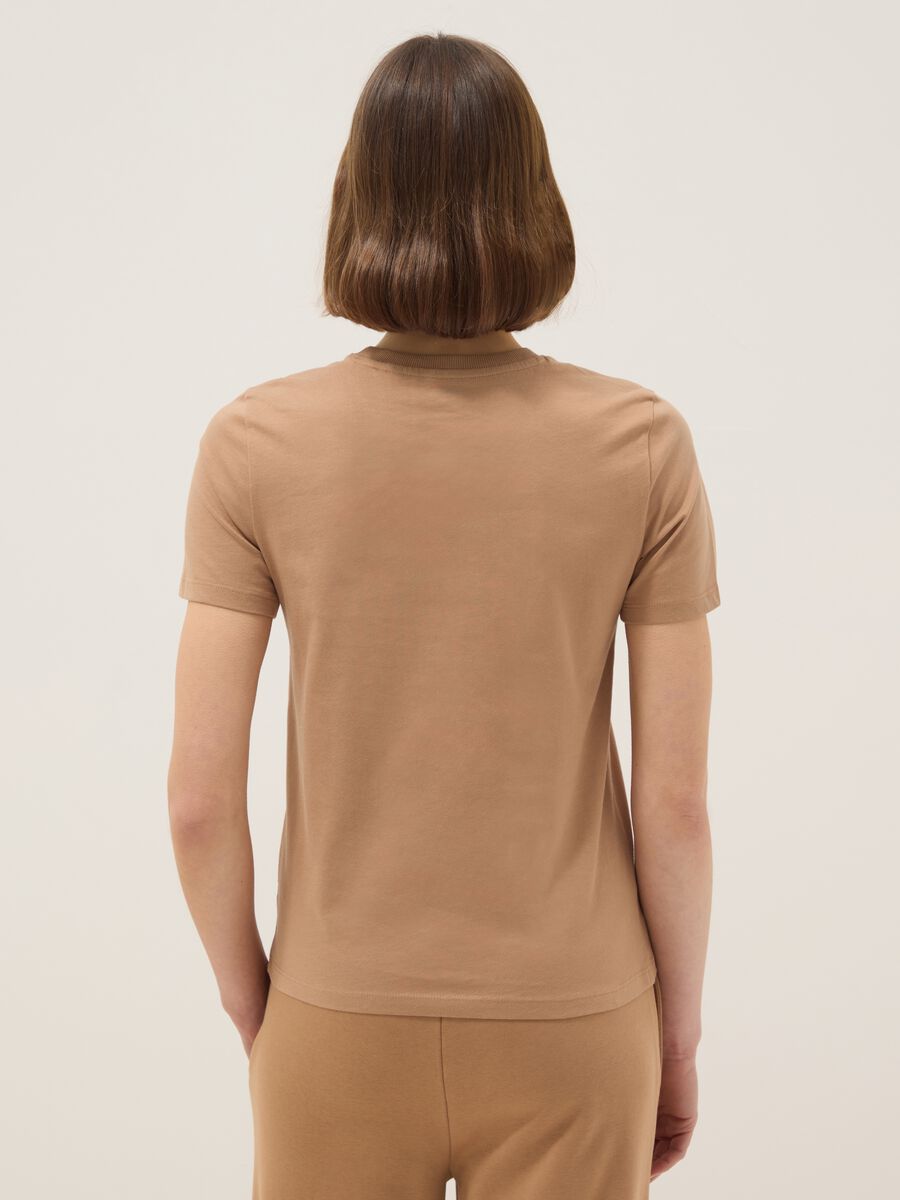 Brown pure cotton crew neck t-shirt regular fit_2