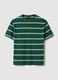 Pure Cotton Multicolour Striped T-shirt Regular Fit_4
