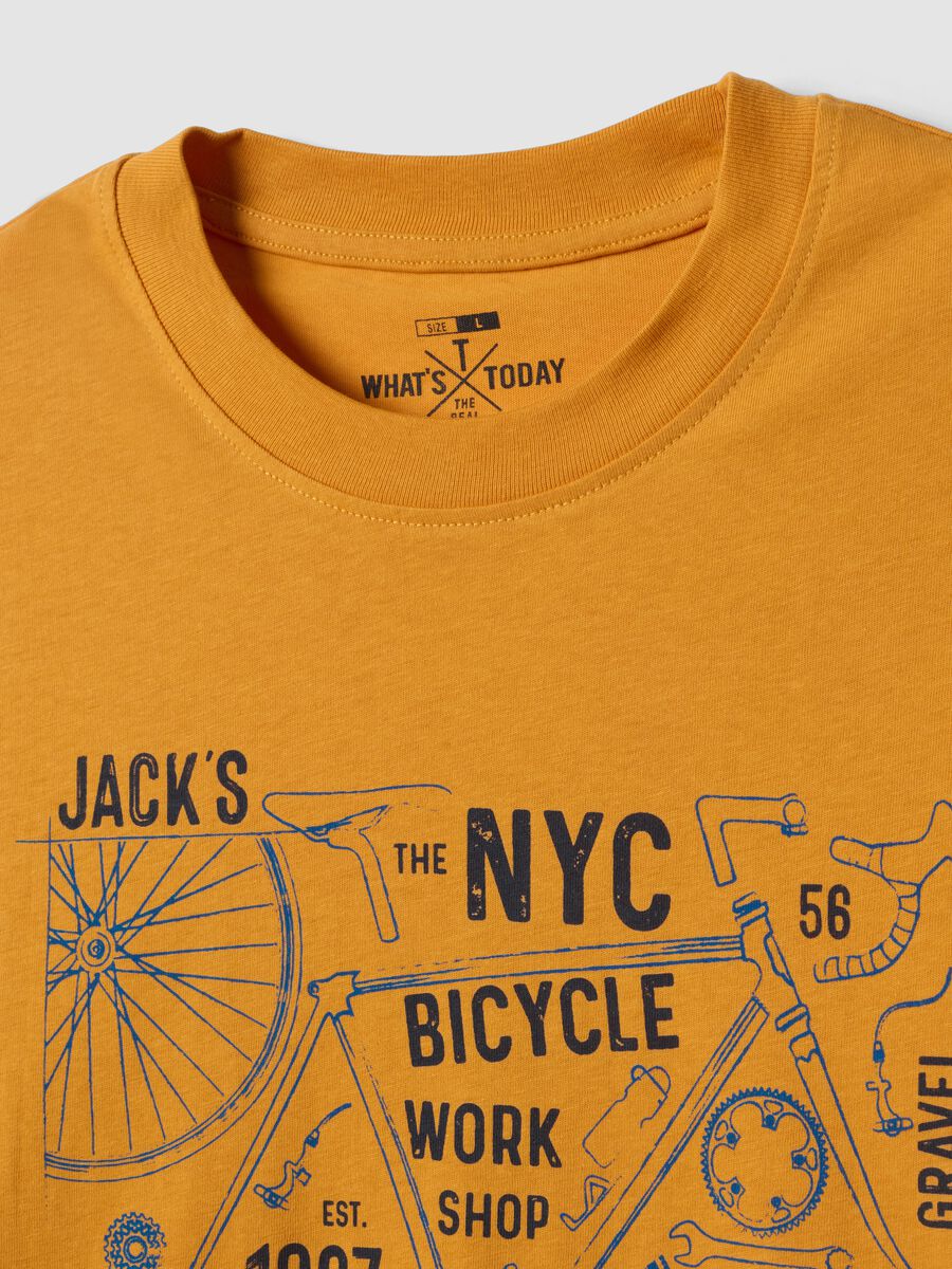 Oranges T-Shirt aus reiner Baumwolle mit Frontprint, Regular Fit_5