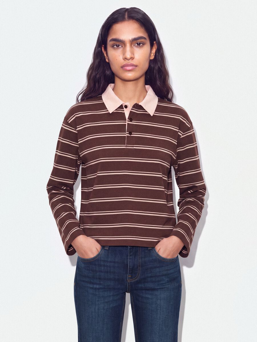 Brown striped long-sleeve pure cotton polo shirt, regular fit_1