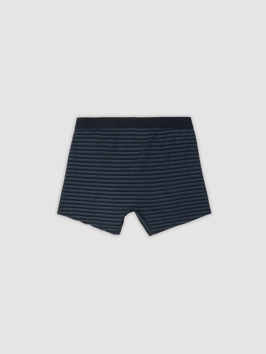 Pack of 3 blue mid-length boxer briefs in stretch organic cotton_2