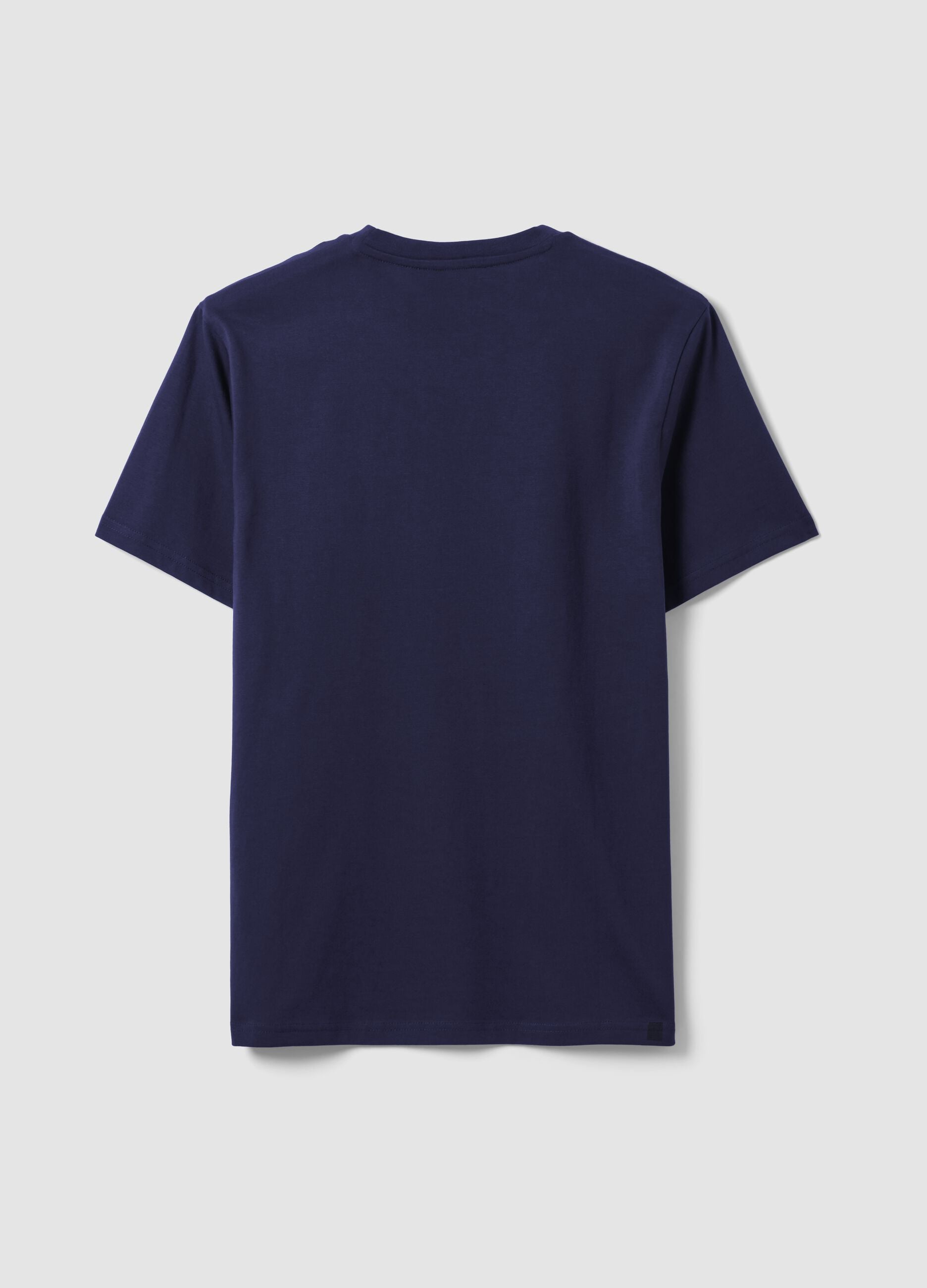 Blue pure cotton crew-neck T-shirt, regular fit
