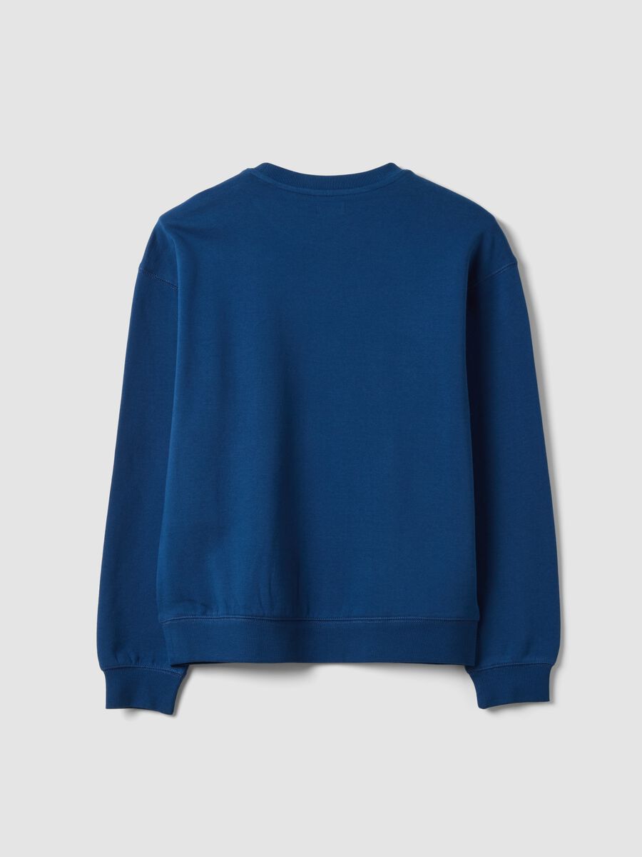 Blaues Rundhals-Sweatshirt aus 100 % Bio-Baumwolle_1