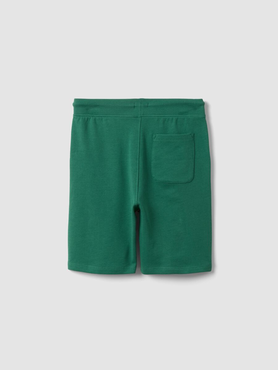 Boys&rsquo; green pure cotton shorts, relaxed fit_1