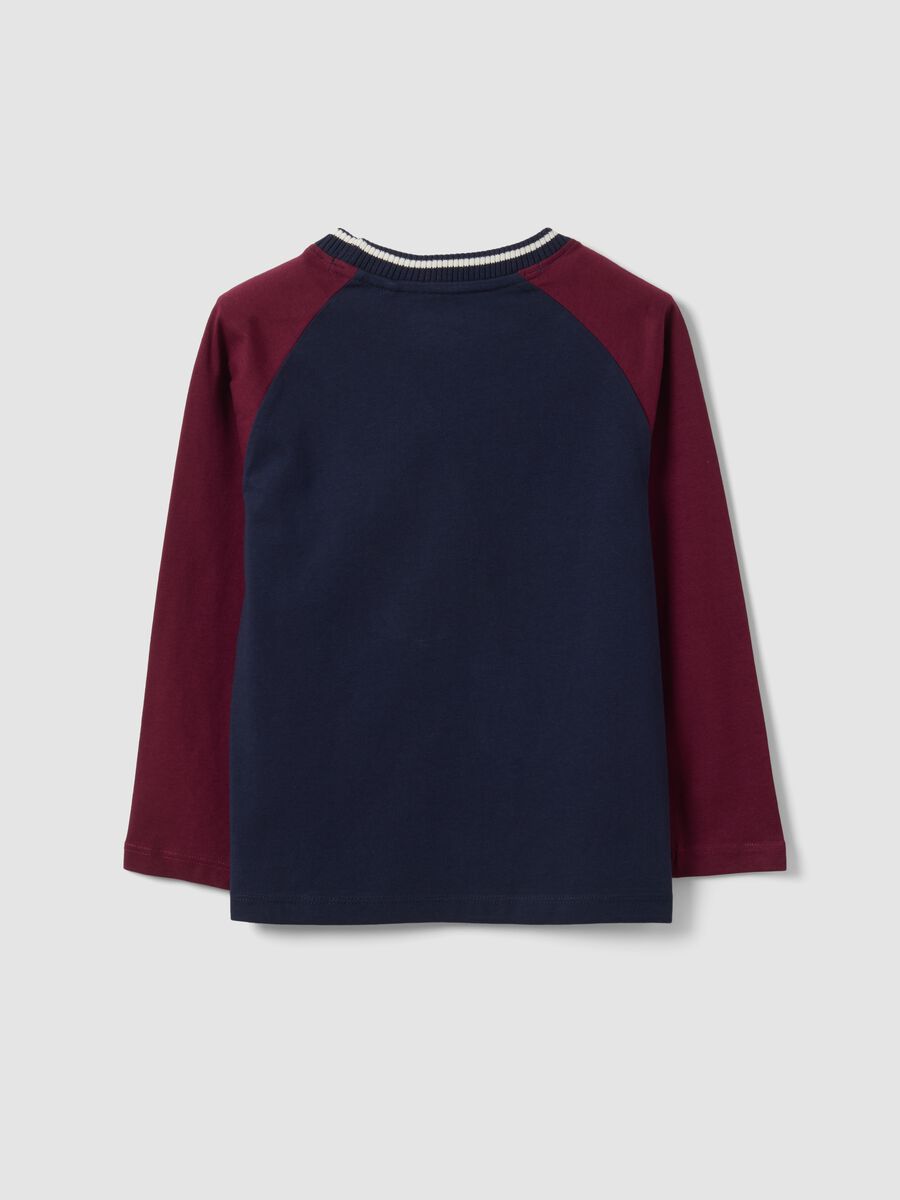Blue pure cotton crew-neck T-shirt with Harry Potter print_1