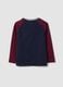 Blue pure cotton crew-neck T-shirt with Harry Potter print_1