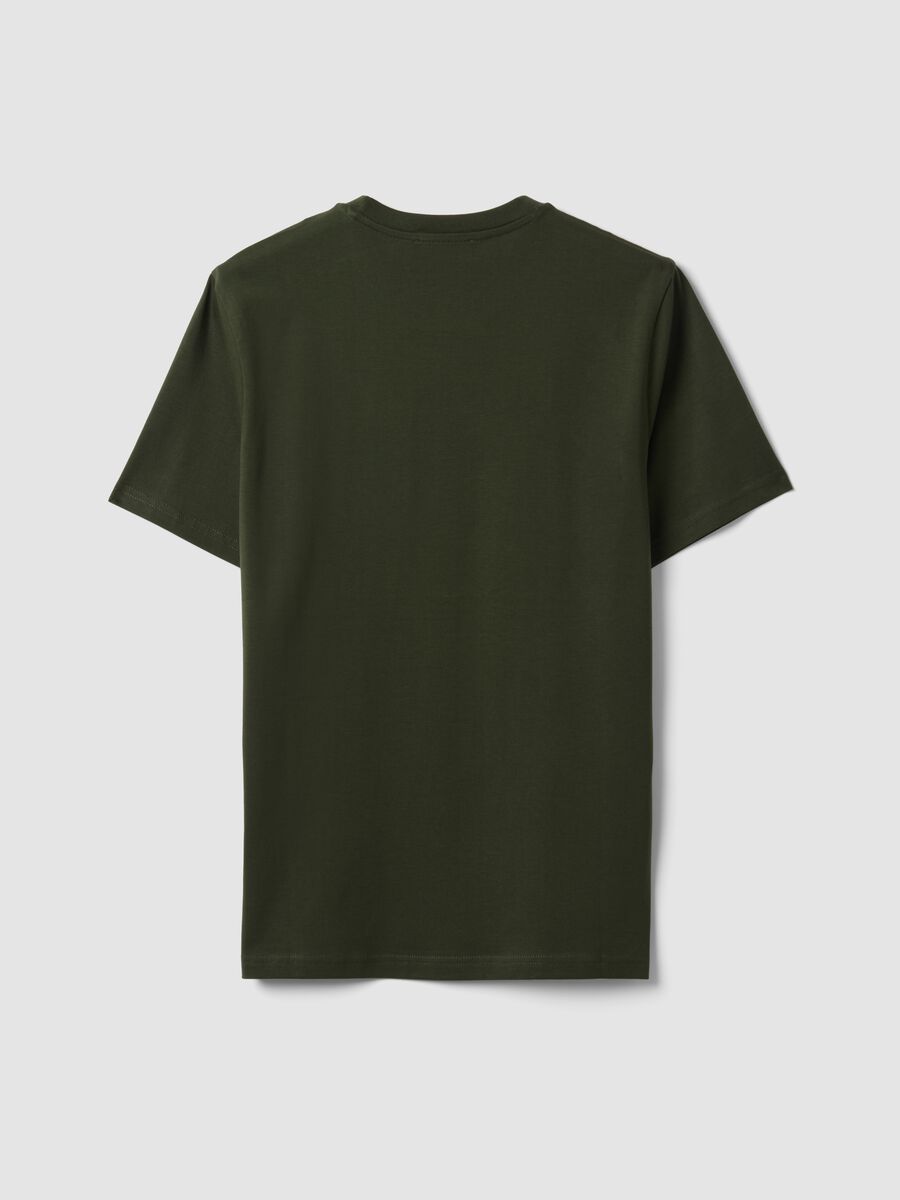 Green Supima Cotton Crew-Neck T-Shirt, Regular Fit_1