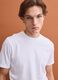 White pure-cotton crew-neck T-shirt in a regular fit_0