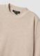Beiger Pullover aus Viskosemischung mit Rundhalsausschnitt, Regular Fit_1