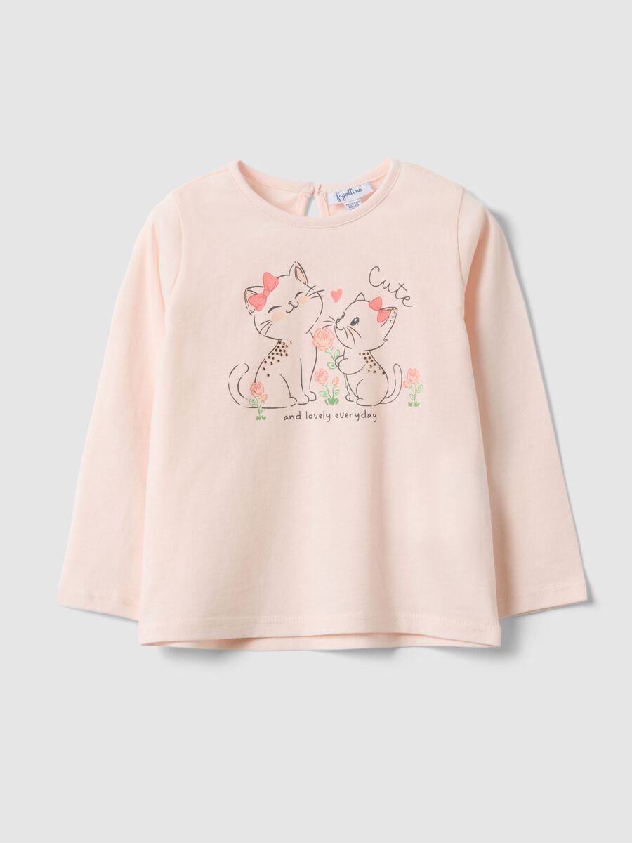 &Rho;&omicron;&zeta; &beta;&alpha;&mu;&beta;&alpha;&kappa;&epsilon;&rho;ό &mu;&pi;&lambda;&omicron;&upsilon;&zeta;ά&kappa;&iota; &mu;&epsilon; &mu;&alpha;&kappa;&rho;&iota;ά &mu;&alpha;&nu;ί&kappa;&iota;&alpha;_0