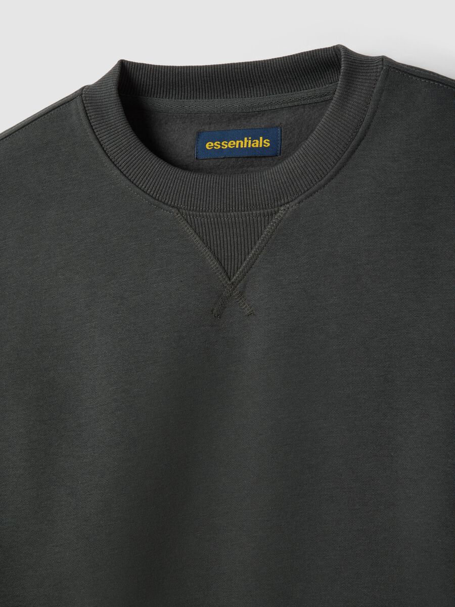 Grey Cotton Blend Crew Neck Sweatshirt Regular Fit_5