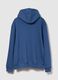 Blue Hooded Sweatshirt_1
