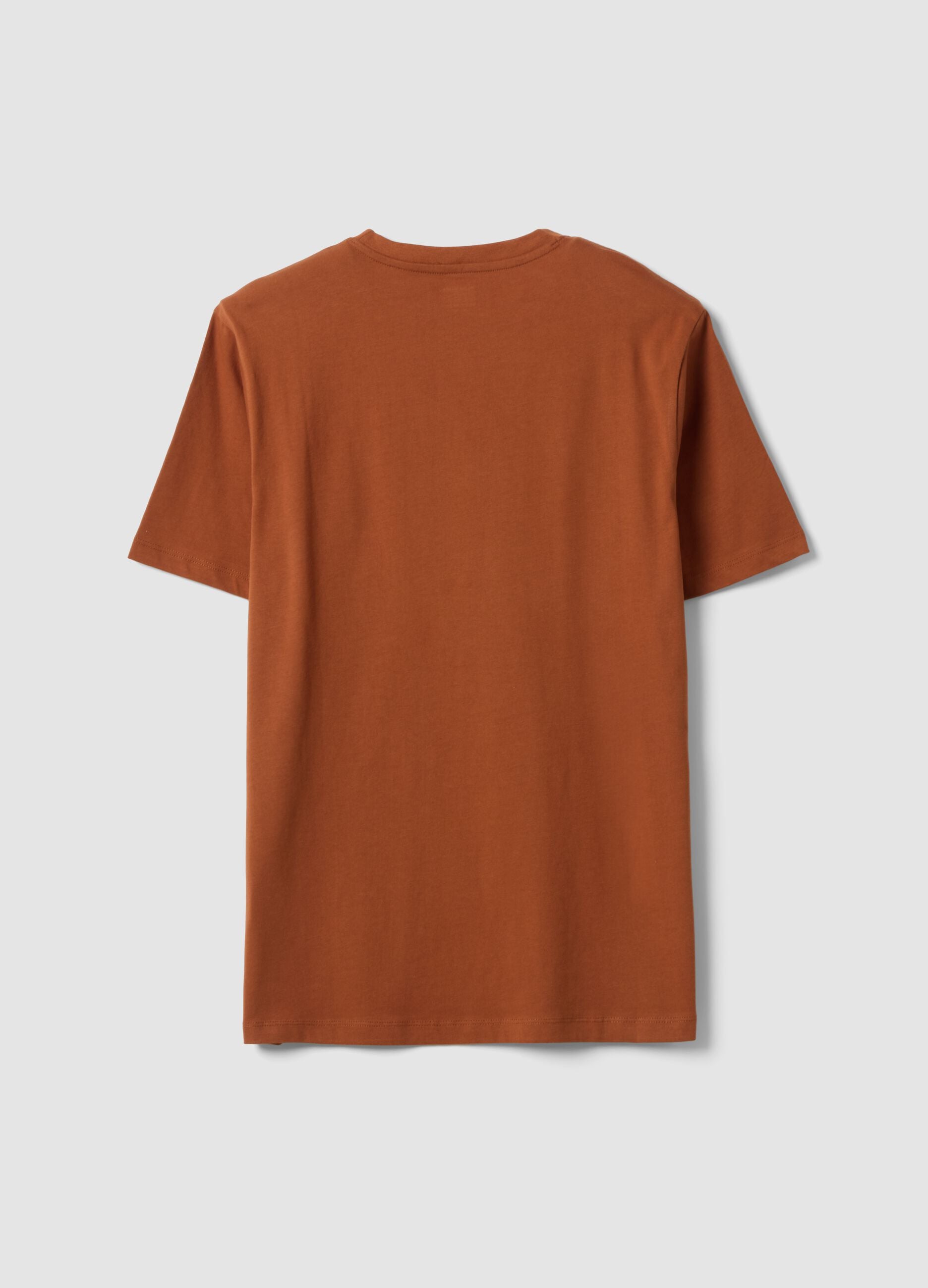 T-shirt marrone in puro cotone organico jersey regular fit