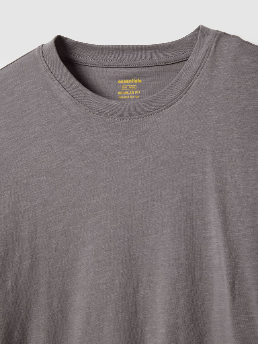 Grey regular fit pure cotton t-shirt_5