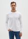 White Regular Fit Pure Cotton T-shirt_1