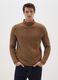 Brown Regular Fit Knitted Jumper_0