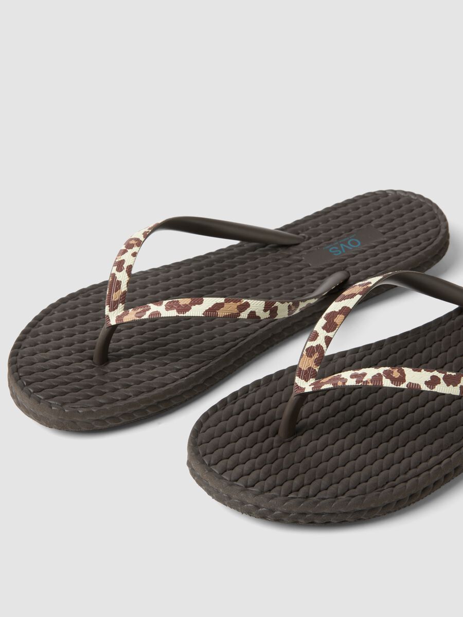 &Kappa;&alpha;&phi;έ &sigma;&alpha;&gamma;&iota;&omicron;&nu;ά&rho;&epsilon;&sigmaf; &mu;&epsilon; &lambda;&omicron;&upsilon;&rho;ά&kappa;&iota;&alpha; &lambda;&epsilon;&omicron;&pi;ά&rho; &kappa;&alpha;&iota; &pi;&lambda;&epsilon;&kappa;&tau;ή &upsilon;&phi;ή_1