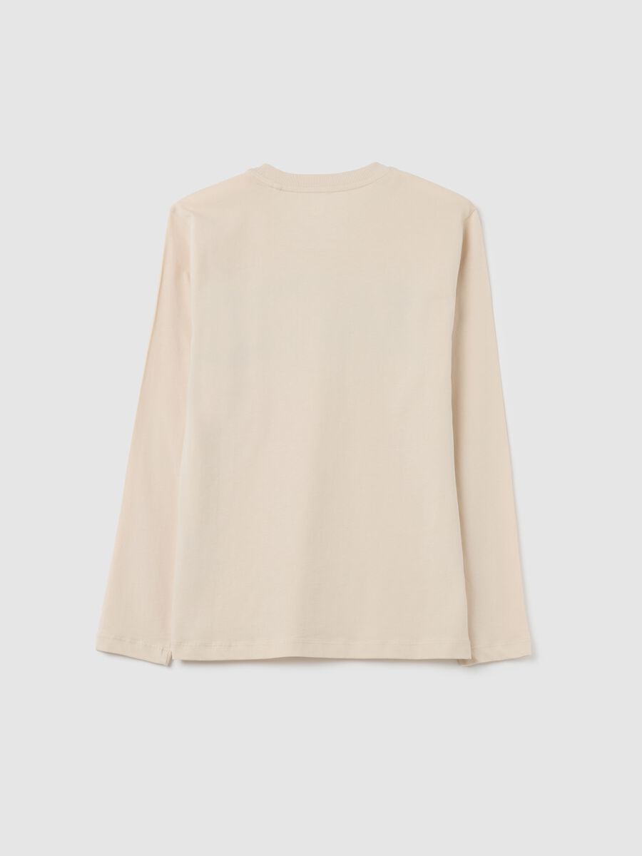 Boys' Beige Pure Cotton Regular Fit Jumper_4