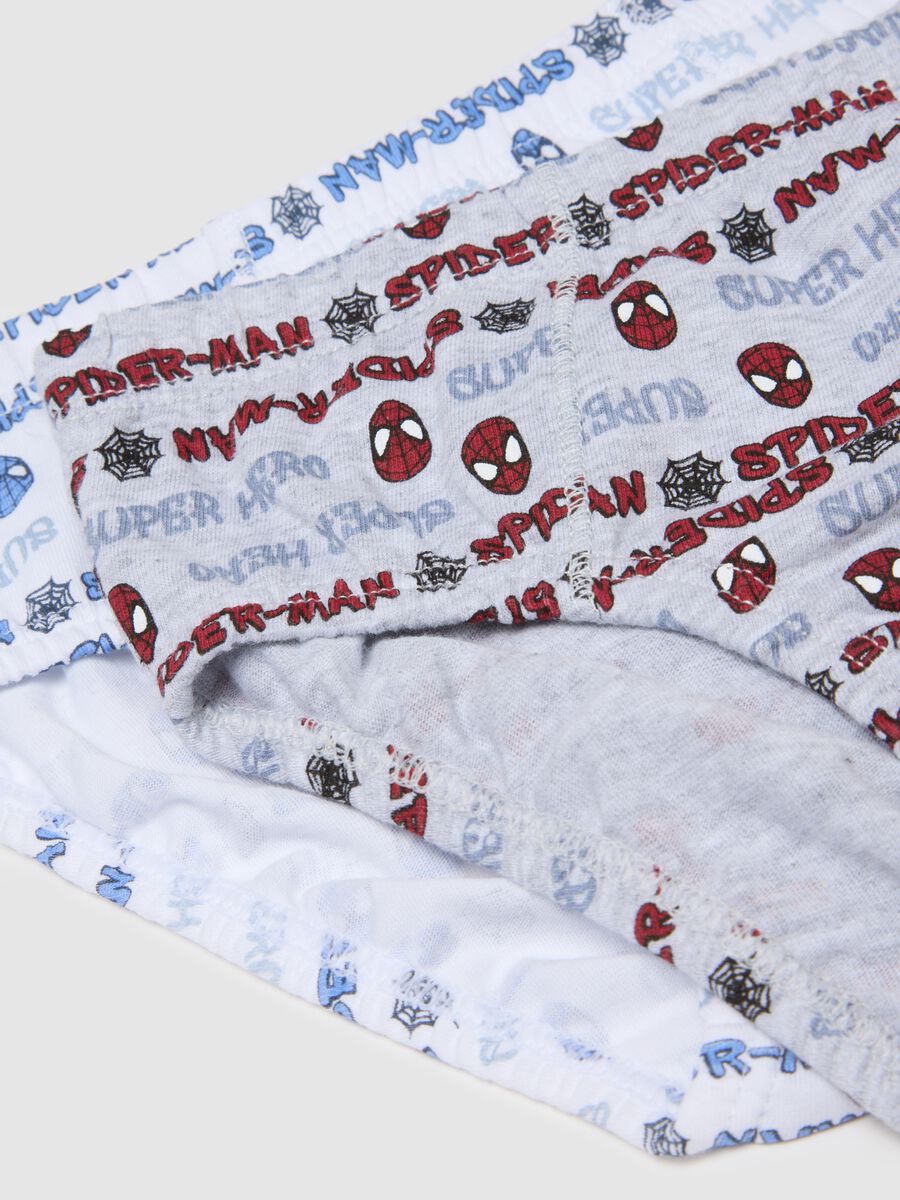 Multipack Kids' Multicoloured Cotton Regular Fit Briefs_2