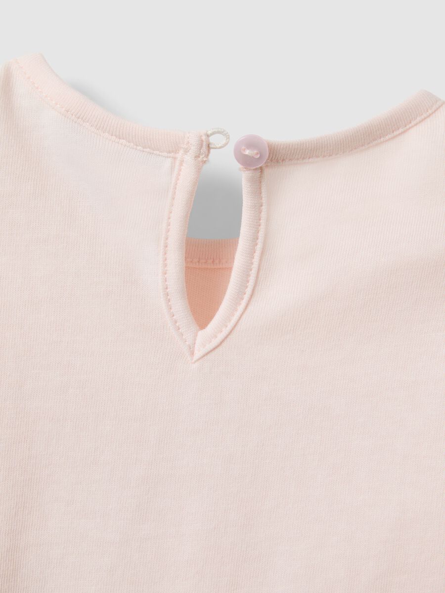 &Rho;&omicron;&zeta; &beta;&alpha;&mu;&beta;&alpha;&kappa;&epsilon;&rho;ό &mu;&pi;&lambda;&omicron;&upsilon;&zeta;ά&kappa;&iota; &mu;&epsilon; &mu;&alpha;&kappa;&rho;&iota;ά &mu;&alpha;&nu;ί&kappa;&iota;&alpha;_3