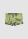 Gr&uuml;ne Stretch-Badehose mit Dino-Print_1