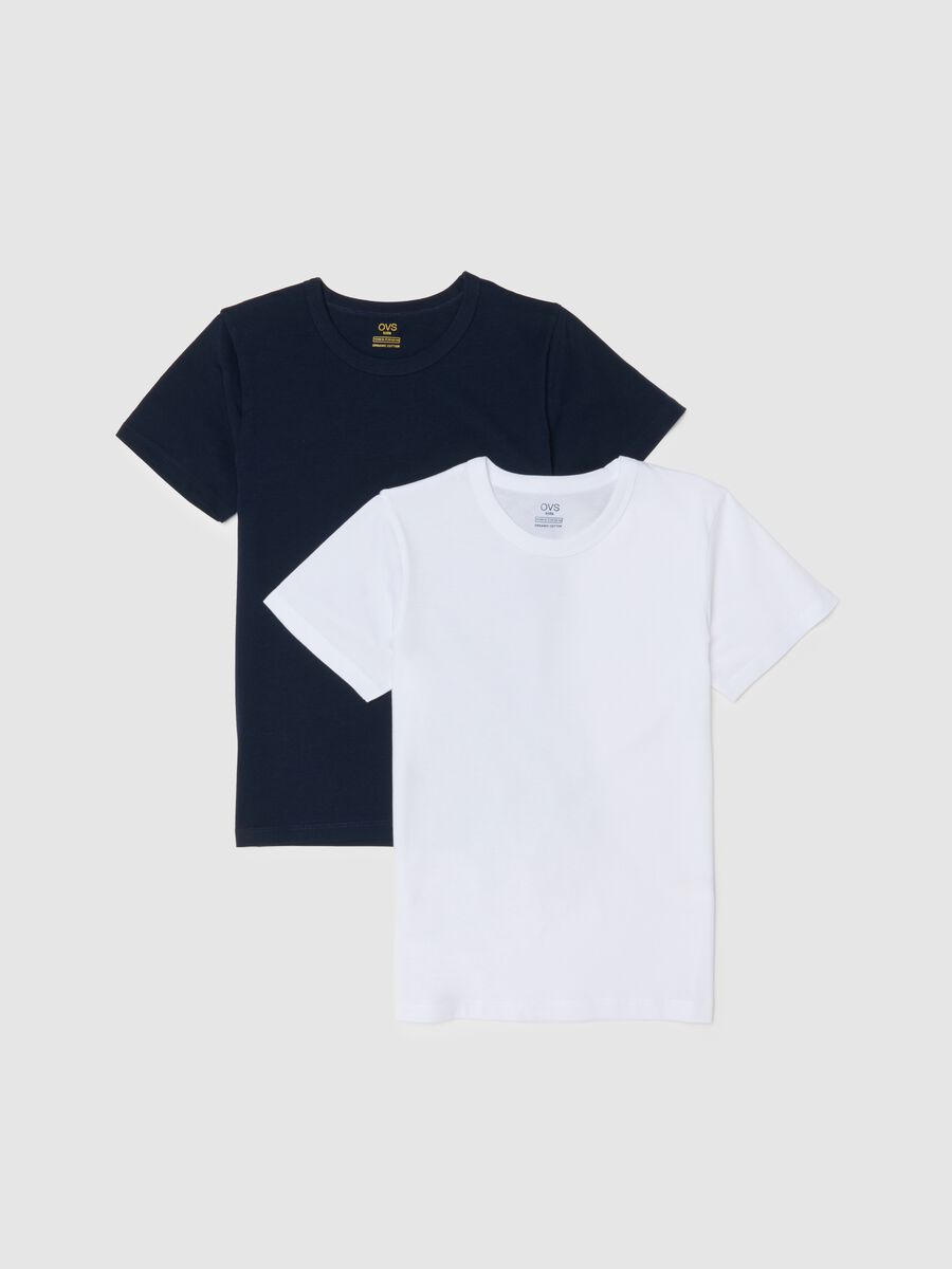 Boy's multicolour cotton regular fit t-shirt twin-pack_0