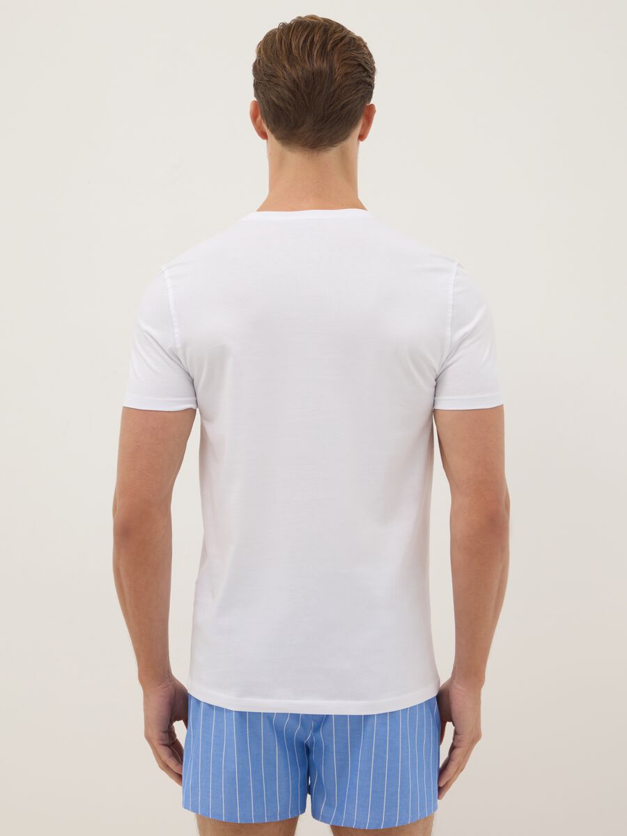 Pure cotton white V-neck regular fit T-shirt_2