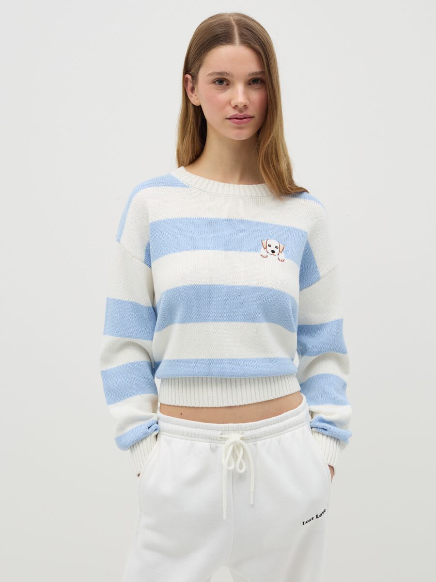 Striped pullover with embroidery_0