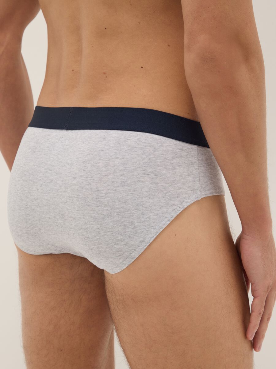 Multipack multicolour regular fit elasticated cotton briefs_2