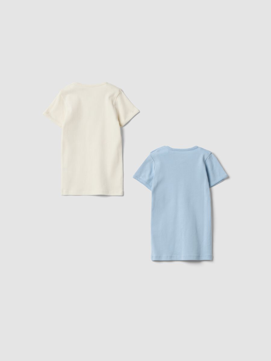 Lot de 2 t-shirts multicolores en pur coton bio pour b&eacute;b&eacute; et tout-petit_1