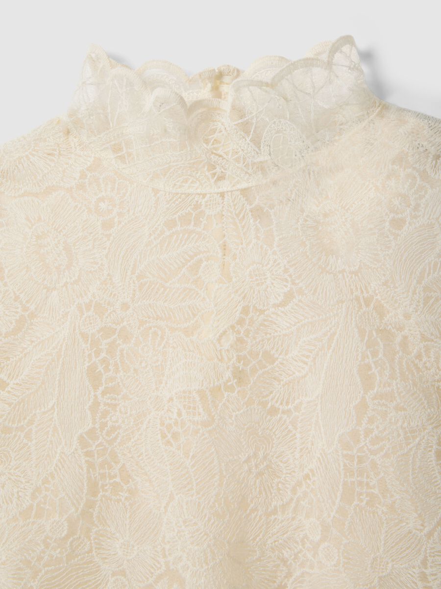 &Lambda;&epsilon;&upsilon;&kappa;ό &pi;&omicron;&upsilon;&kappa;ά&mu;&iota;&sigma;&omicron; &alpha;&pi;ό &mu;&epsilon;ί&gamma;&mu;&alpha; &beta;&alpha;&mu;&beta;&alpha;&kappa;&iota;&omicron;ύ &mu;&epsilon; &delta;&alpha;&nu;&tau;έ&lambda;&alpha;_5