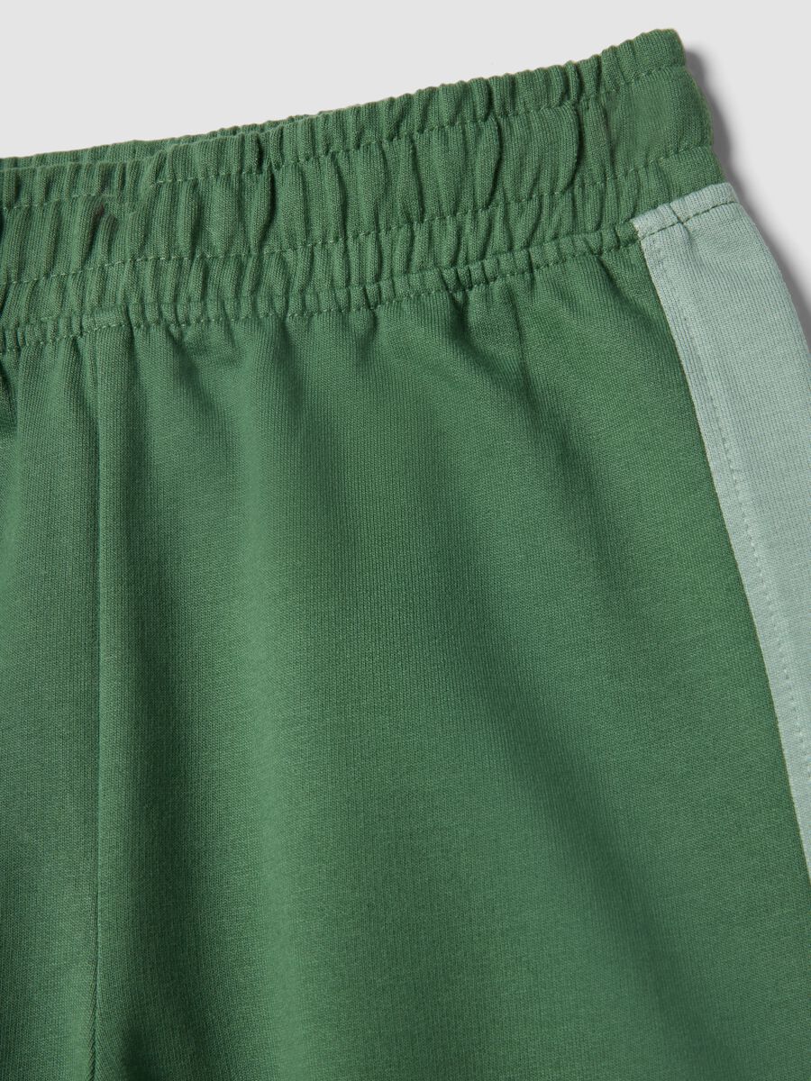 Children's Green Cotton Shorts with Regular Fit_2