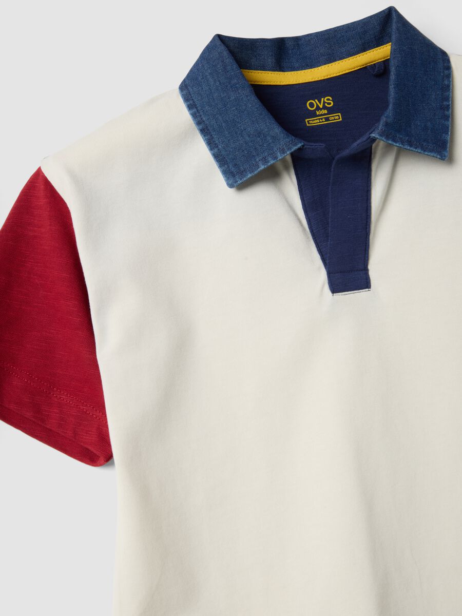 Boys' Multicolour Pure Cotton Polo Shirt &ndash; Oversized Fit_2