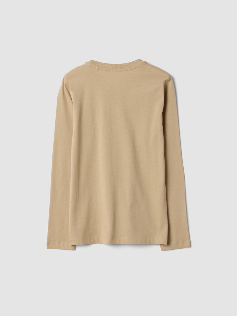 Brown pure organic cotton T-shirt with varsity print_2