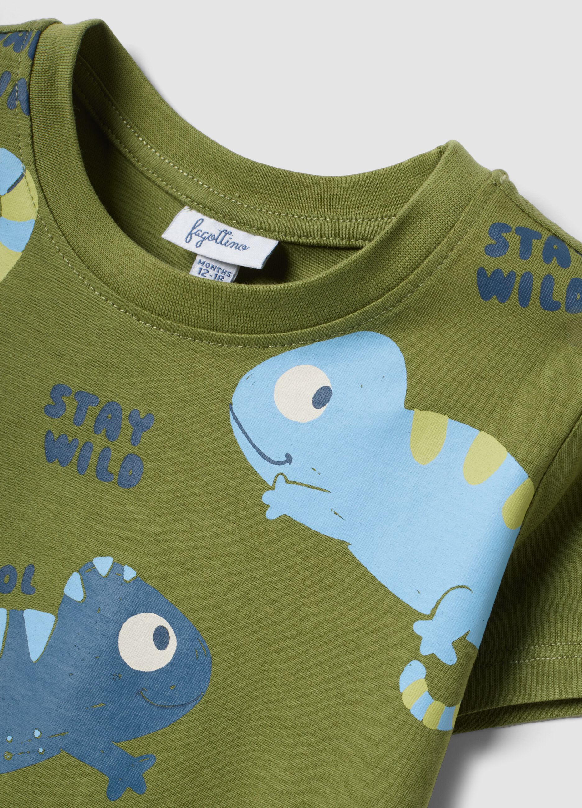 Blue and green pure cotton set for baby boys, regular fit