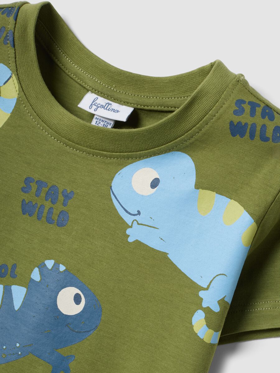Blue and green pure cotton set for baby boys, regular fit_2