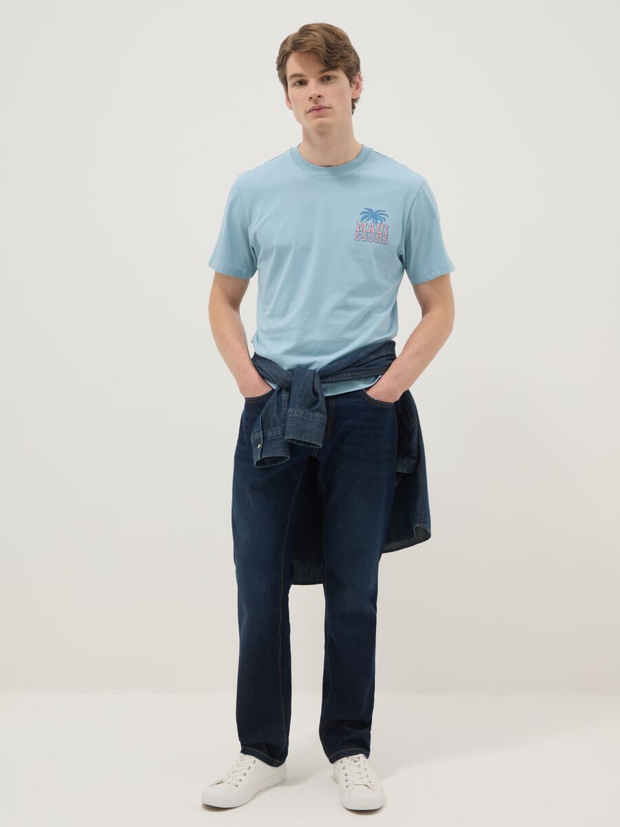 Blue short-sleeve pure cotton T-shirt with print, relaxed fit_1