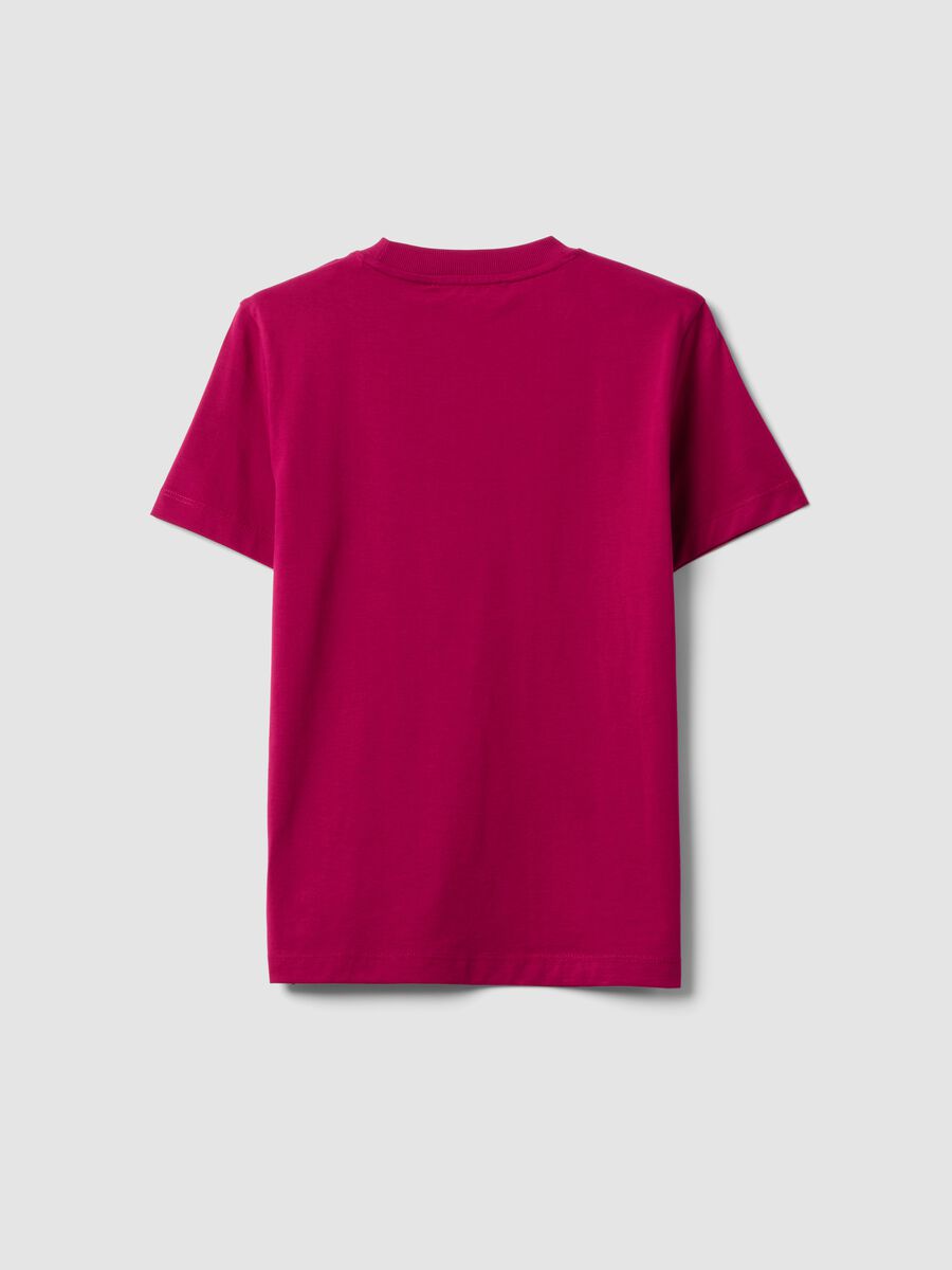 Pink regular-fit crew-neck T-shirt in pure Supima cotton_1