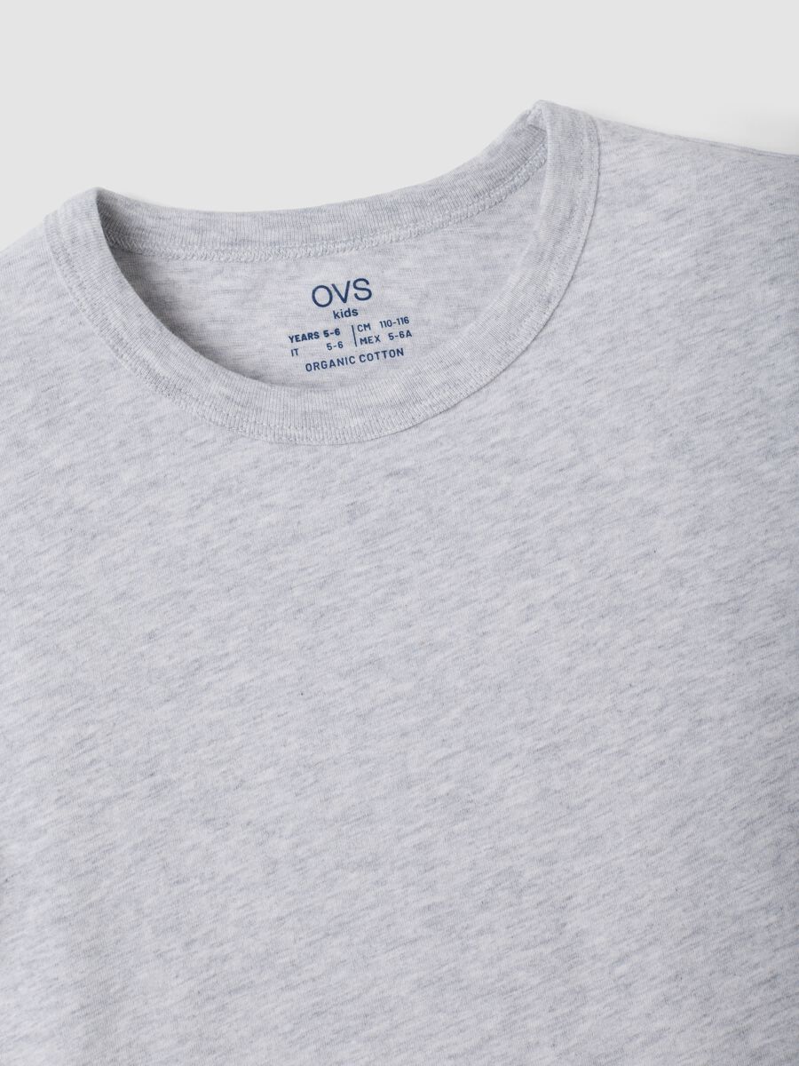 2-pack grey and blue crew-neck T-shirts in pure organic cotton_2