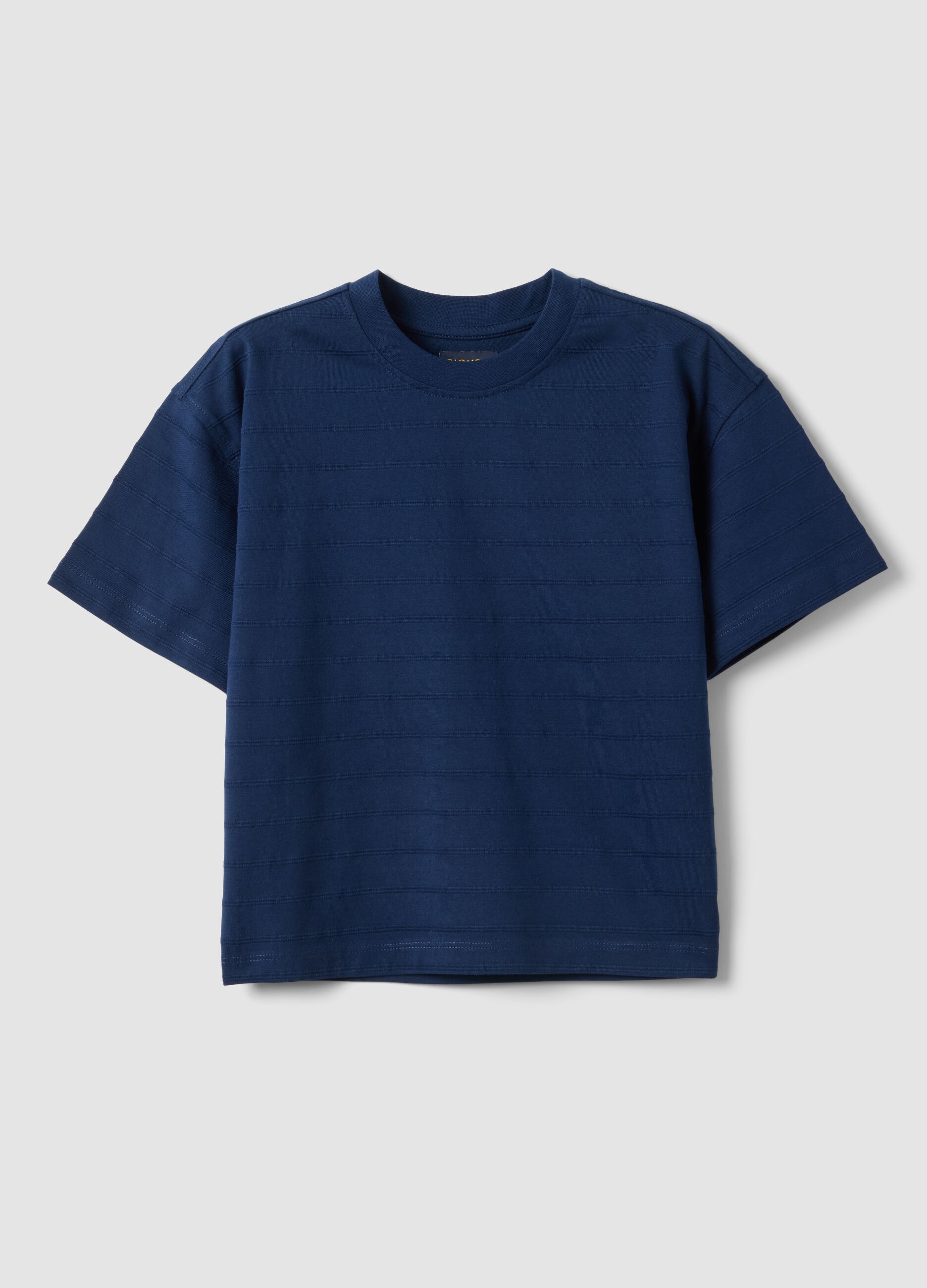 Children's Regular Fit Blue Pure Cotton T-shirt