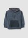 Grauer Hoodie aus reiner Baumwolle_0